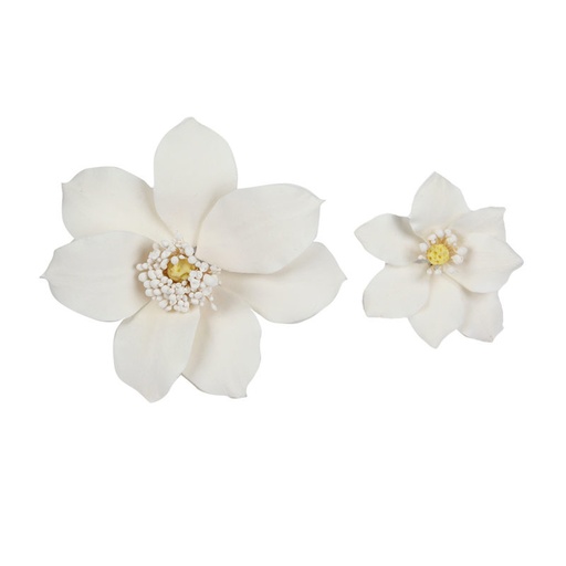 [08081220] 1066005 ASSORTMENT OF WHITE CLEMATIS 16PCS ***ON ORDER***