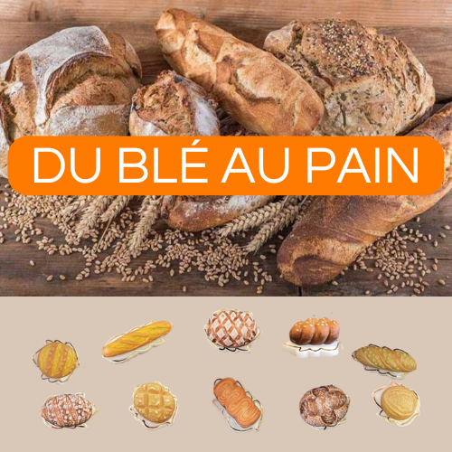 [60229104] PORSELEINEN BONEN 100STKS "VAN TARWE TOT BROOD" ***NIEUW 2025***