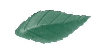 [08038011] FRN03 DARK GREEN ROSE LEAF 38 MM 500 PIECES