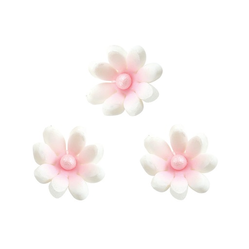 [08074182] 1062008 MARGUERITE BLANCHE 105 PCES***S/CD***