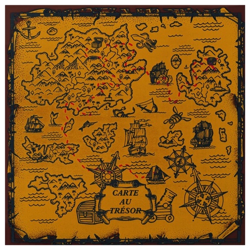 [08058195] 088179 PCB FEUILLES IMPRIMES CARTE AU TRÉSOR POUR CARTES CARRÉES ET SACHET 24PCS ***S/CDE***