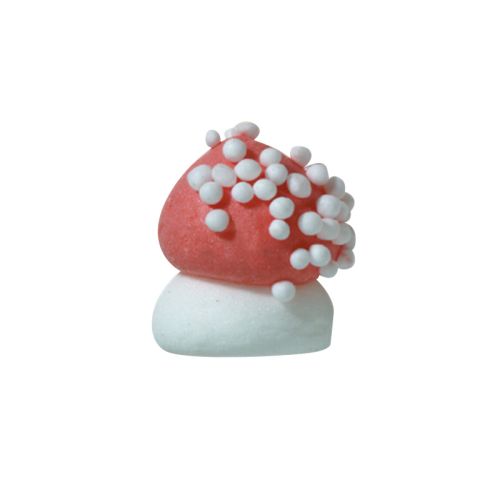 [08031310] 51311 PADDENSTOEL  270 STUKKEN = DOOS