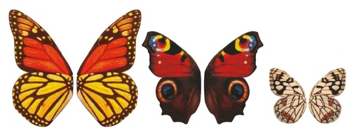 [08057126] 061301 PCB BUTTERFLY WINGS CB 10 DESIGNS 220PCS ***S/CD***