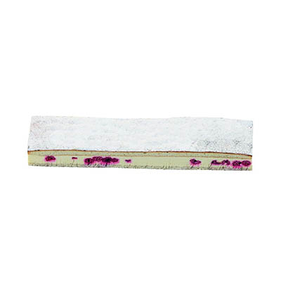 [02040135] VAMIX B252 BAVAROIS MACARON AUX FRAMBOISES 36X8CM 700GR