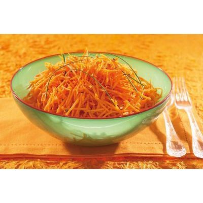 [62250291] ROBOT COUPE DISQUE "PM" RAPEUR 2MM