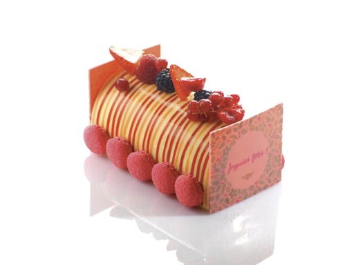 [08056577] 060126 PCB PRINTED PET ACID SHEETS FOR LOG 52.7X17.7 CM 25PCS ***S/CD***