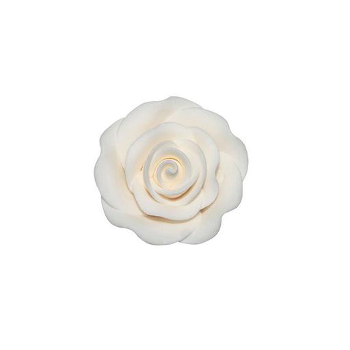 [08081254] 1066052 ROSE BLANCHE MOYENNE 64PCES***S/CD***