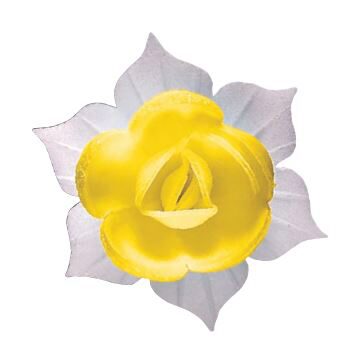 [70407013] J560 GELE NARCIS HOSTIE GEASSORTEERD 45MM 28 STUKENS