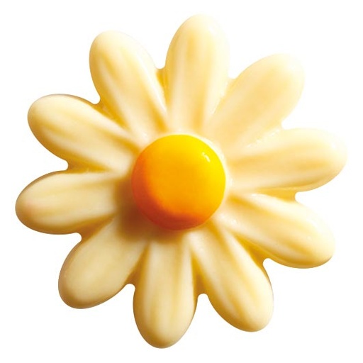 [08057139] 061314 PCB DAISIES CB 4.2X4 CM 96PCES ***S/CD***