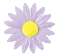 [08050066] M09.7 MARGUERITE MAUVE COEUR JAUNE 45MM AZYME  100PCES
